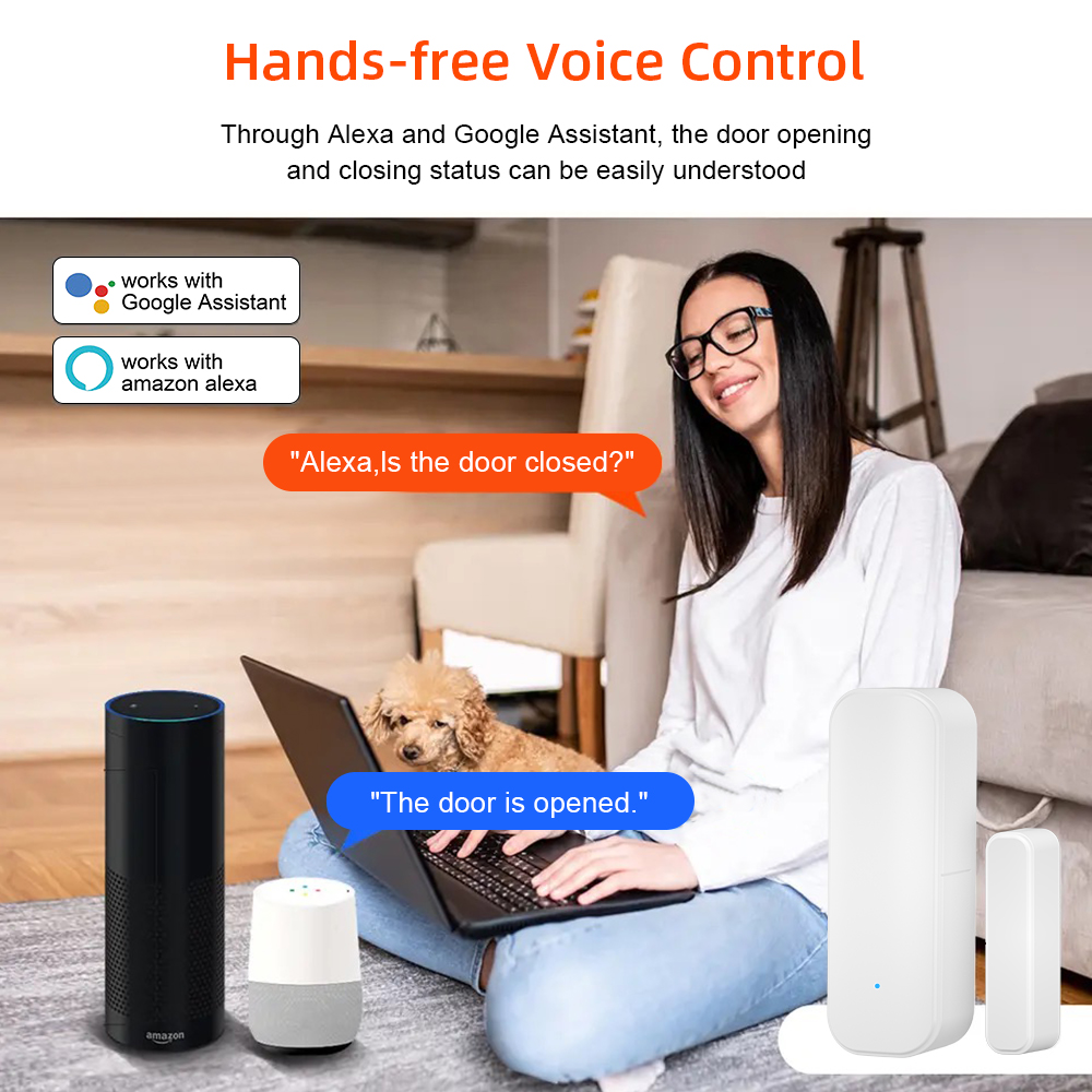 Tuya WiFi Zigbee Window Door S - đánh giá và giá Home Security Battery