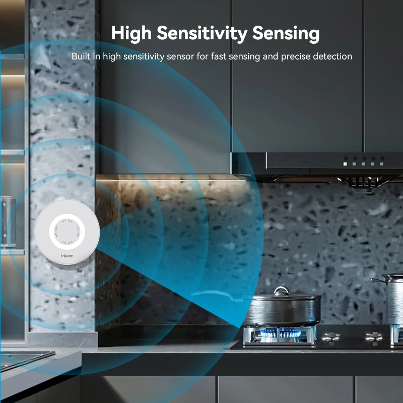 Meian Zigbee Gas Detector Tuya - đánh giá và giá Home Security Kitchener