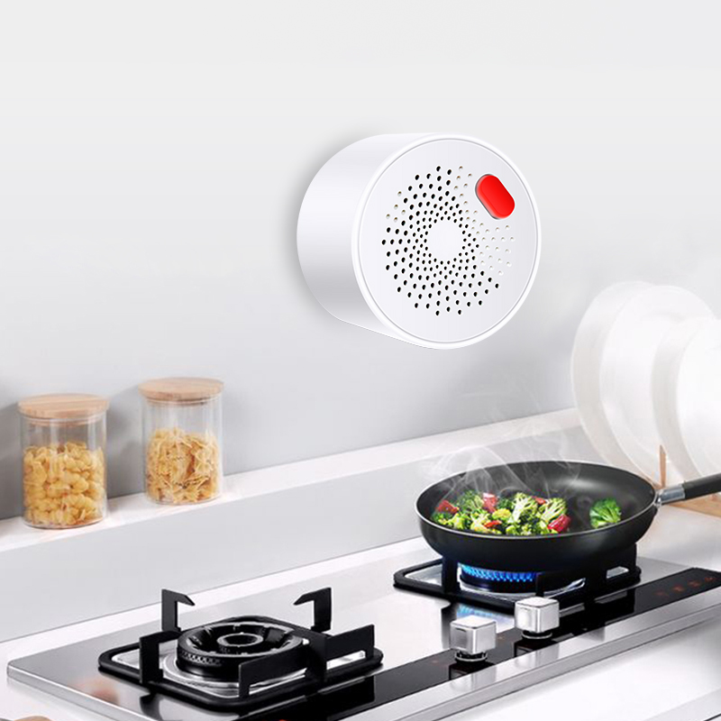 Tuya Smart Home Wifi Natural G - đánh giá và giá Home Security Devices