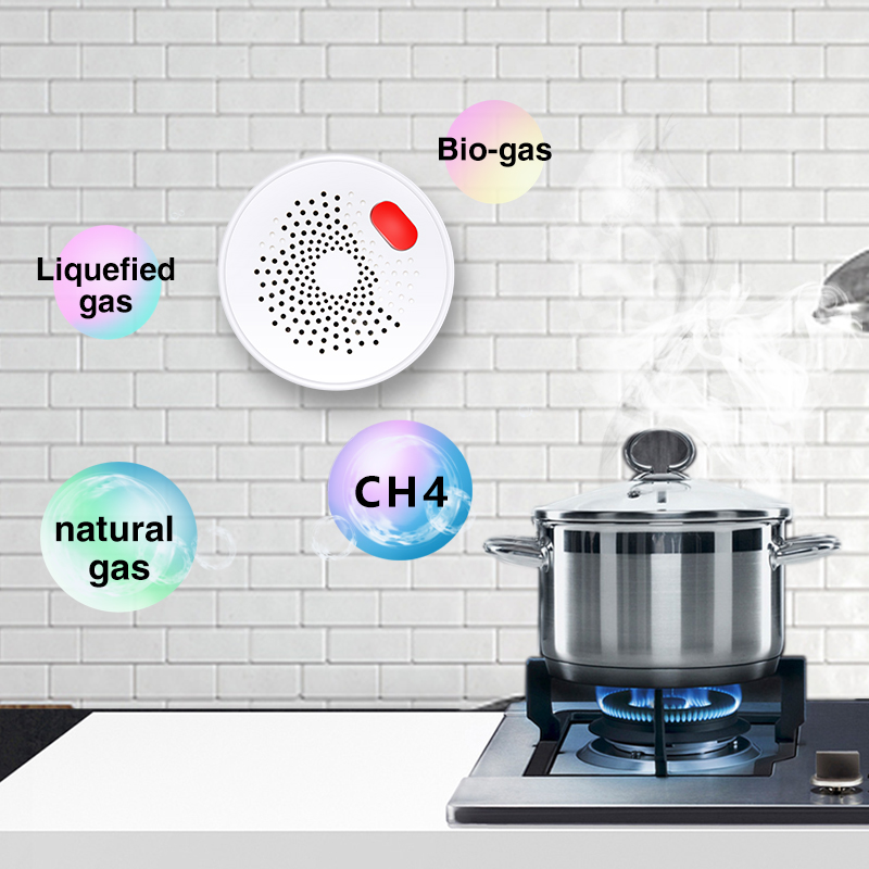 Tuya Smart Home Wifi Natural G - đánh giá và giá Home Security Devices