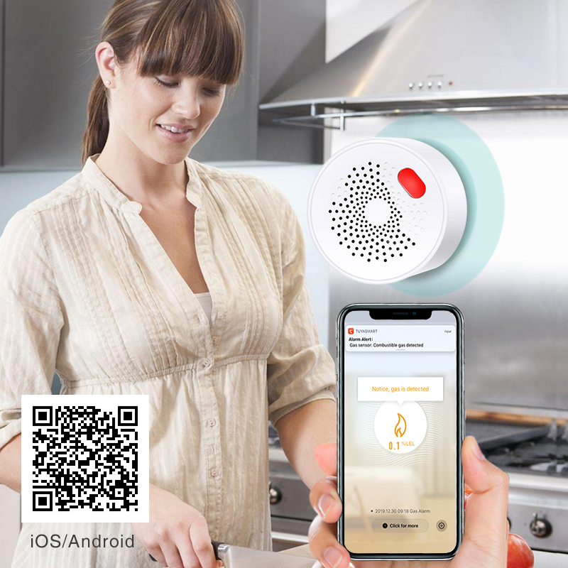 Tuya Smart Home Wifi Natural G - đánh giá và giá Home Security Devices